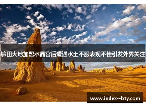 镰田大地加盟水晶宫后遭遇水土不服表现不佳引发外界关注